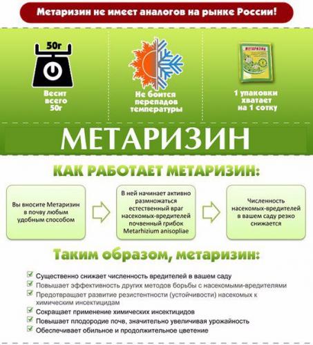 Новинка — биопрепарат метаризин