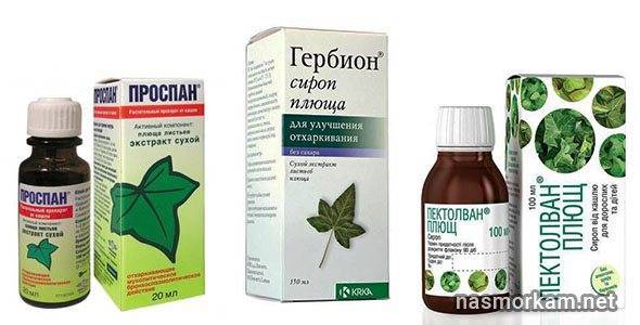 Сироп с плющом от кашля
