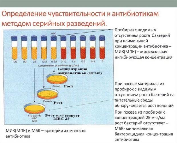 Методы определения чувствительности бактерий к антибиотикам