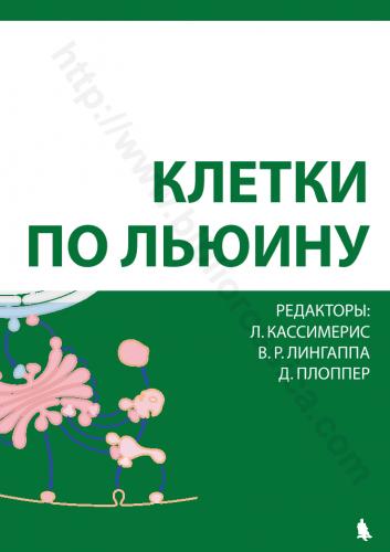 Bacillus cereus таксономия, характеристика, морфология, среда обитания / биология | thpanorama - сделайте себя лучше уже сегодня!