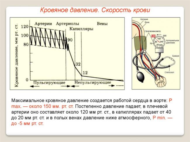 Артериальное давление