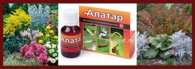 Препарат алатар применение отзывы