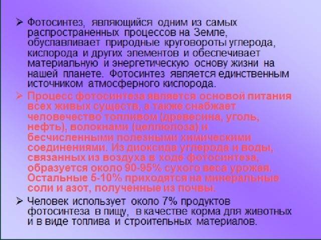 Хлоропласты: роль в процессе фотосинтеза и структура