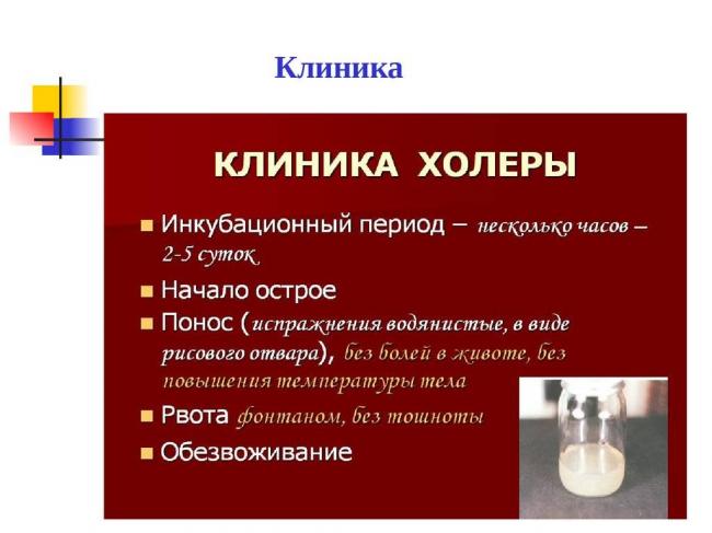 Холерные вибрионы попадают в организм человека - биология