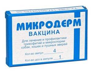 Что такое дерматофитоз и как его лечат у собак