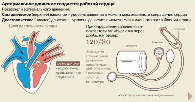 Значение словосочетания «кровяное давление»