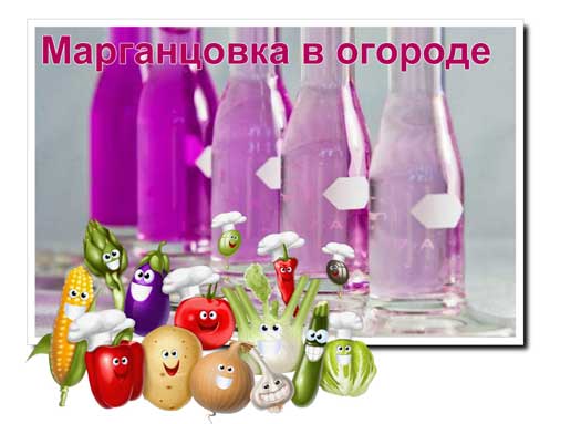 Марганцовка (перманганат калия): где купить, цена, инструкция по применению, отзывы при удалении волос, формул