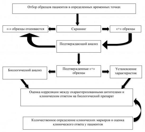 Классификация патогенных микроорганизмов