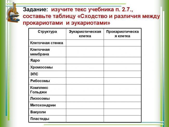 Прокариотическая клетка строение особенности -таблица