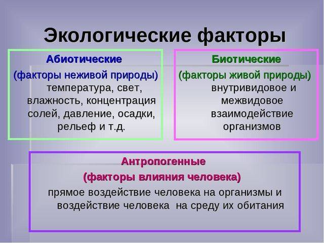 Аэробы примеры бактерий. что такое анаэробы и их классификация