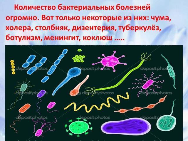 От холеры до коронавируса: как распространяются смертельные болезни