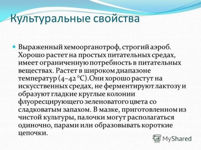 Синегнойная палочка — симптомы и лечение в домашних условиях, как передается палочка?