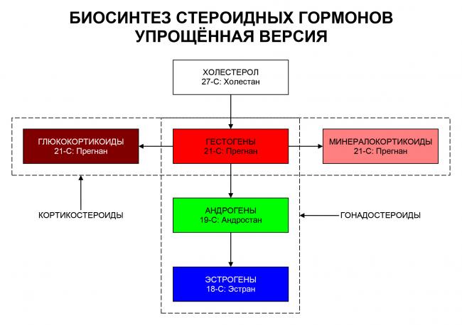 Колестирамин (colestyramine)