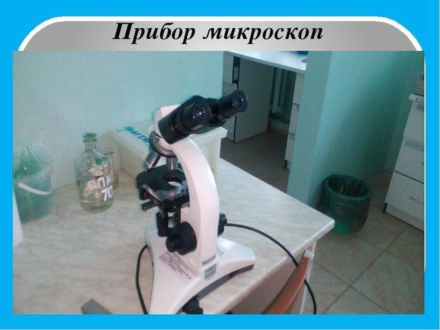 Вредные бактерии – возбудители болезней человека