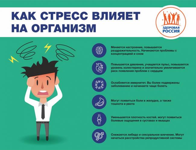 Пролактин кортизол гормоны стресса у женщин и мужчин, как уменьшить