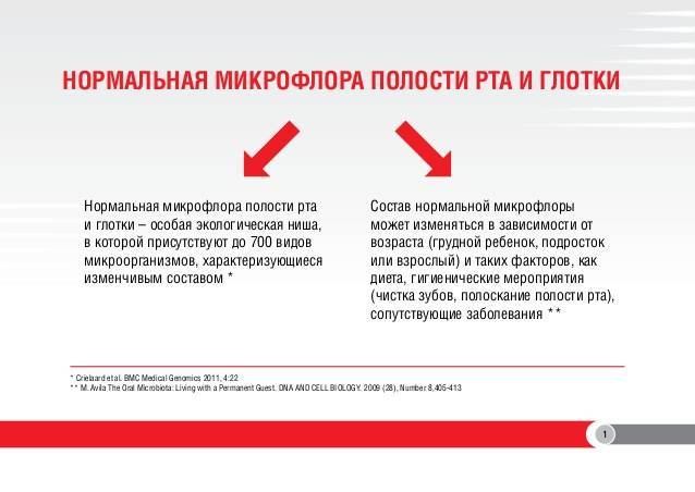 Полезные бактерии для человека – откуда они берутся и как наладить баланс микрофлоры в организме?