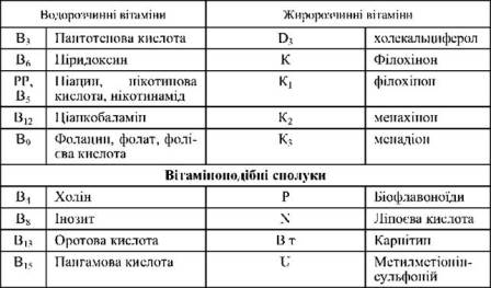 Витамины и их значение в питании больного человека