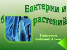 Анаэробные микроорганизмы