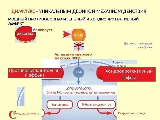 Лечение диафлексом: эффективность, показания, инструкция