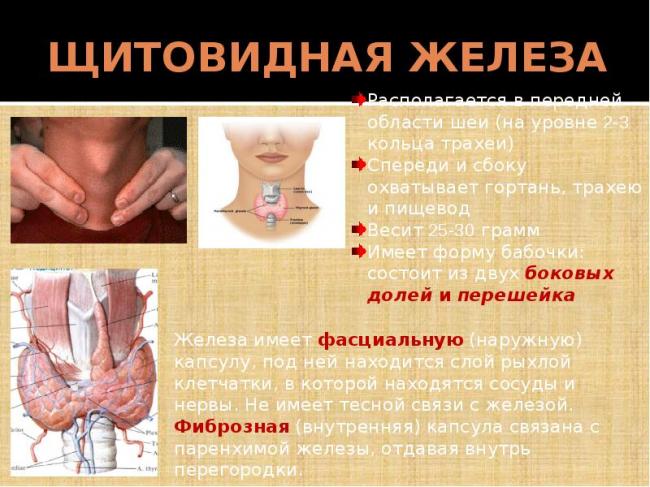 Лечение гиперплазии щитовидной железы 1, 2, 3 степени, признаки заболевания