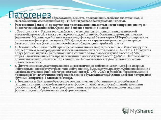 Синегнойная палочка - описание, пути передачи. причины, симптомы, диагностика и лечение синегнойной инфекции