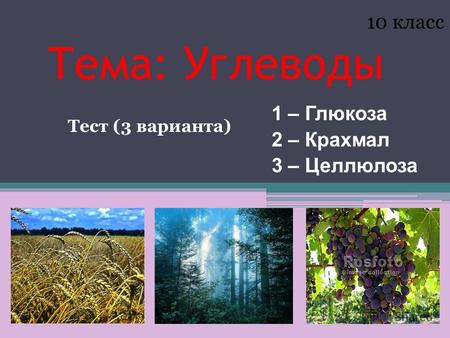 Роль углеводов в питании человека: какие продукты богаты углеводами и суточная потребность в углеводах