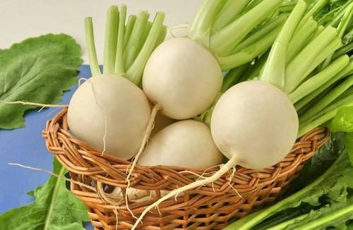 Редька с медом от кашля: полезные свойства и эффективные рецепты