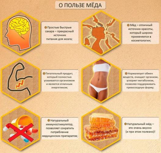 Репа от кашля: рецепты приготовления для детей и взрослых