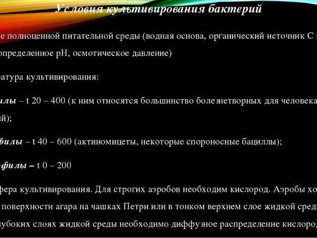 Анаэробные бактерии: понятие, особенность, классификация, культивирование