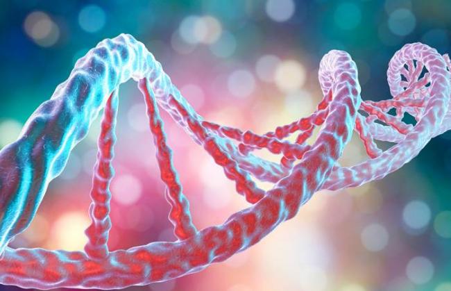 Обзор - генная инженерия бактерий - прикладная генетика - биология том 3 - biological science - руководство по общей биологии - тейлор д. - 2004