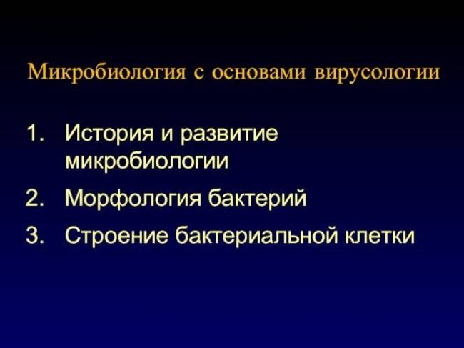 Кто они – бактерии и что представляют собой самые многочисленные жители нашей планеты?