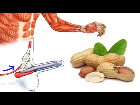 Грецкий орех для похудения