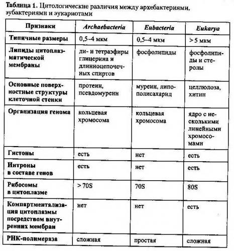 Анаэробные бактерии и организмы: что это такое