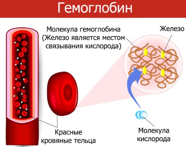 Венофер