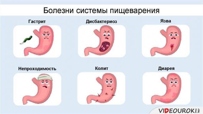 Изучаем и запоминаем способы борьбы с различными болезнетворными бактериями