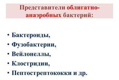 Классификация и ультраструктура, химический состав спирохет.методы обнаружения и роль в патологии человека