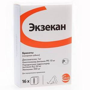 Экзекан - уникальный препарат от аллергии для собак