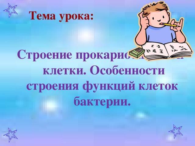 Какие сходства есть у клеток животных и бактерий