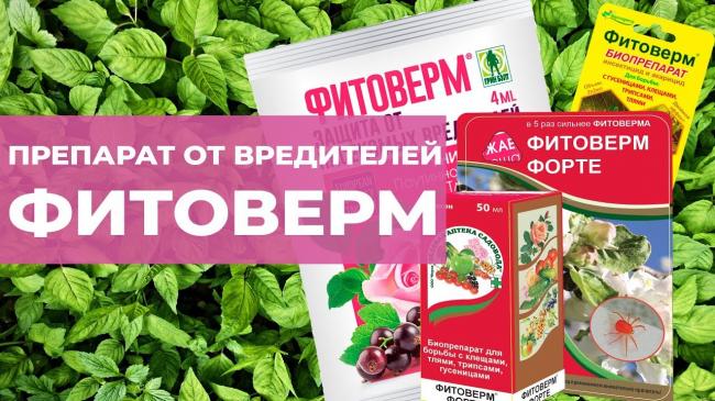 Акарицидные препараты от клещей – эффективная защита людей и растений от паразитов