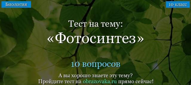 Секреты цветных бактерий: фотосинтез и его особенности