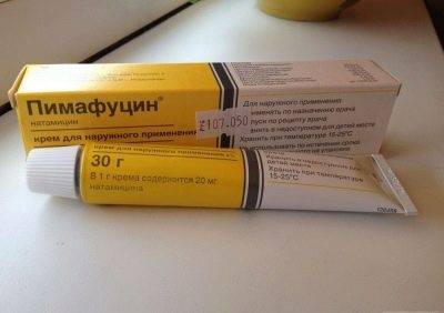 Что такое дерматофитоз и как его лечат у собак