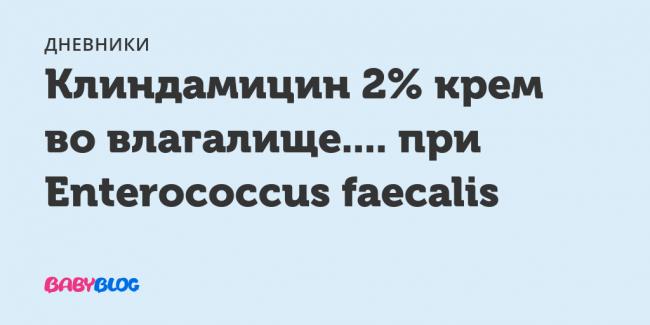 Энтерококк фекальный как можно заразиться. обнаружение лактобактерий энтерококков в мазке у женщины. каковы причины их появления