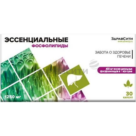 Что такое фосфолипиды для печени - состав и форма выпуска, показания к применению и цена