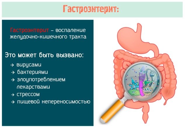 Гастроэнтерит и гастроэнтероколит у детей и взрослых: симптомы, лечение острого и хронического заболевания