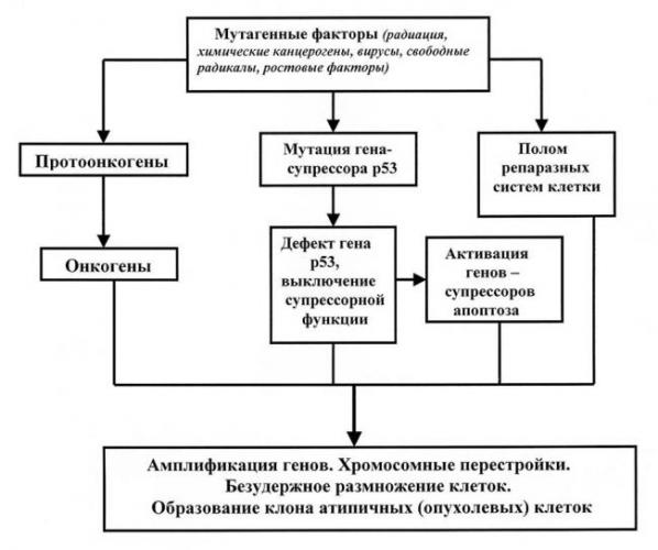 Урсоловая кислота