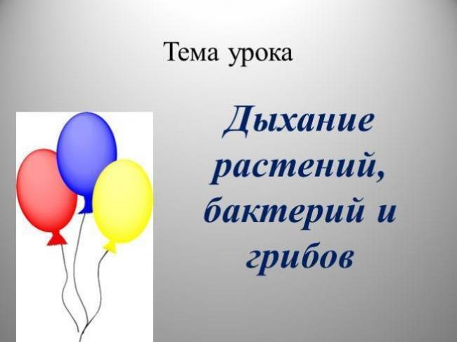 Анаэробы - это бактерии. особенности анаэробов, классификация и методы культивирования