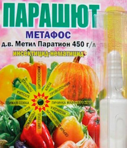 Как избавиться от медведки - самые лучшие методы и средства