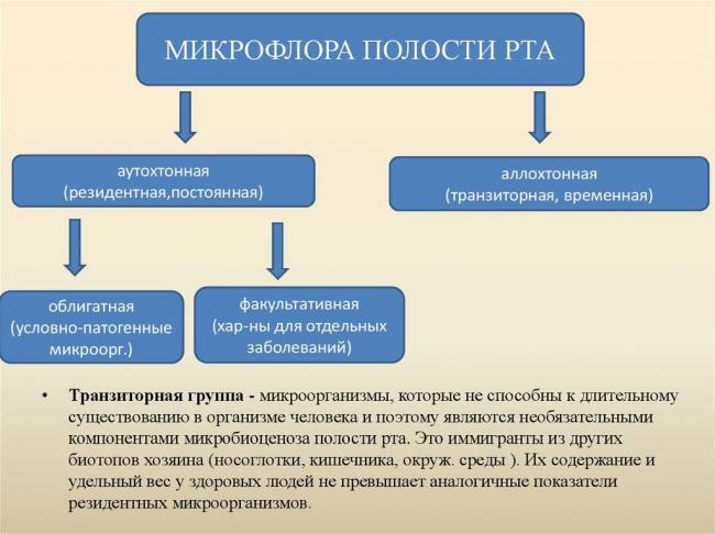 Состав патогенной микрофлоры полости рта и ее роль
