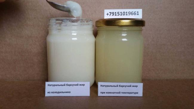 Польза барсучьего жира для детей и помогает ли он от кашля?