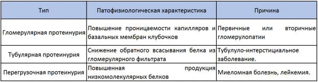 Диагностика протеинурии (памятка для врача)